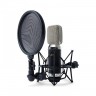 Конденсаторные микрофоны MARANTZ MPM3500R 47868